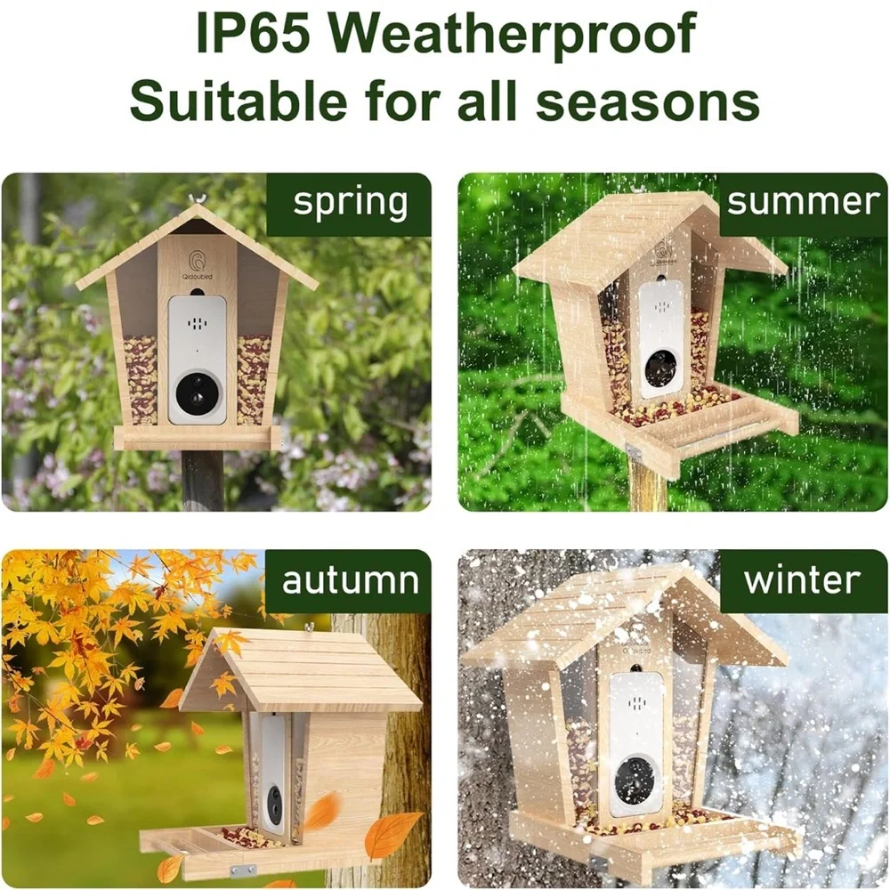 Smart Hummingbird Feeder with Camera